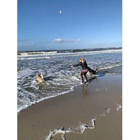Dreamtime - Braderup On Sylt